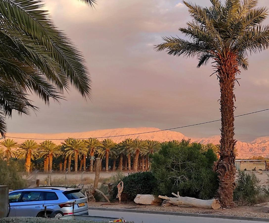 Belfer'S Dead Sea Cabins Neot HaKikar Exterior photo